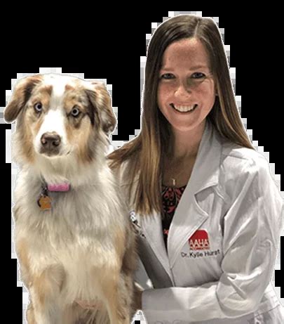 the village vets stone mountain|Veterinarians and Animal Hospitals .